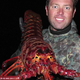 Illustration for article titled Biologist catches monster 70-year-old lobster in California